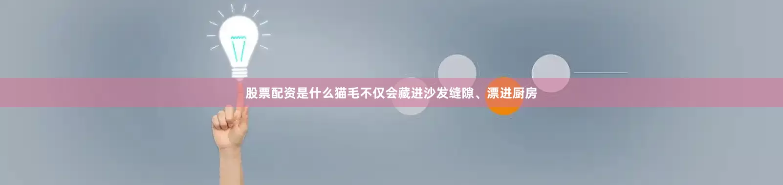 股票配资是什么猫毛不仅会藏进沙发缝隙、漂进厨房