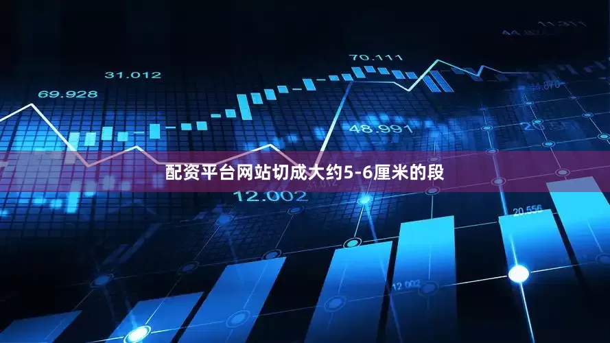 配资平台网站切成大约5-6厘米的段