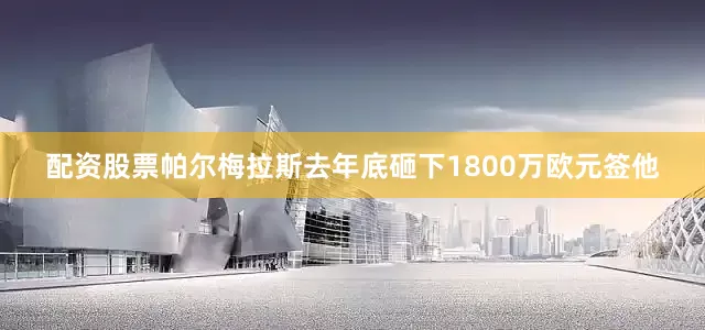 配资股票帕尔梅拉斯去年底砸下1800万欧元签他